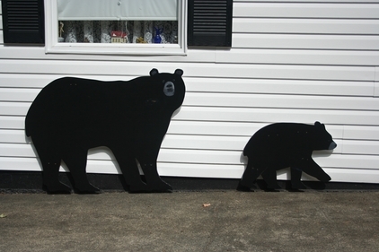 Bears