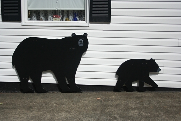 Bears