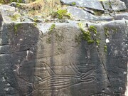 Sprout Lake Petroglyphs